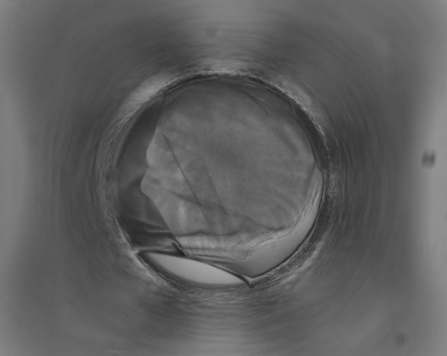 X0000094430577200712061116