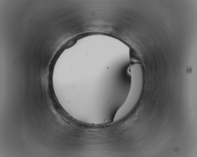 X0000094430580200712061116