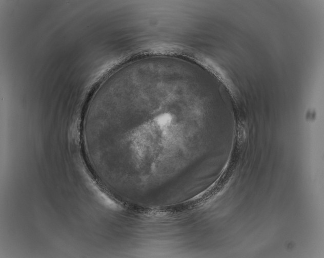 X0000094430581200712061116