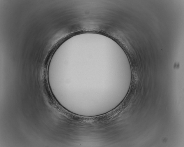 X0000094430583200712061116