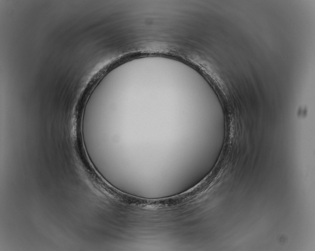 X0000094430584200712061115