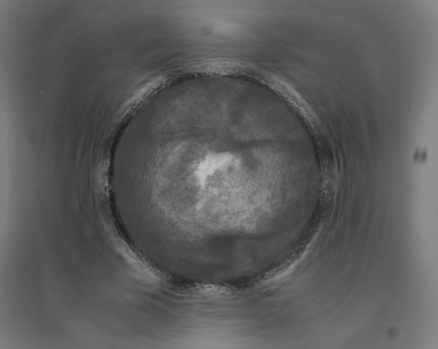 X0000094430585200712061115