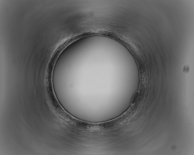 X0000094430587200712061115