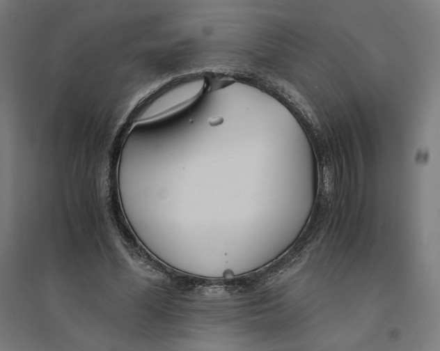 X0000094430588200712061115