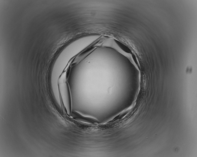 X0000094430589200712061115