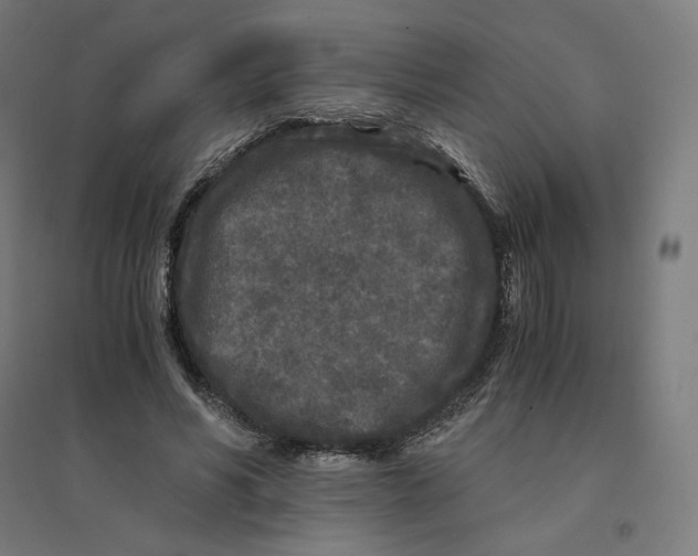 X0000094430590200712061115