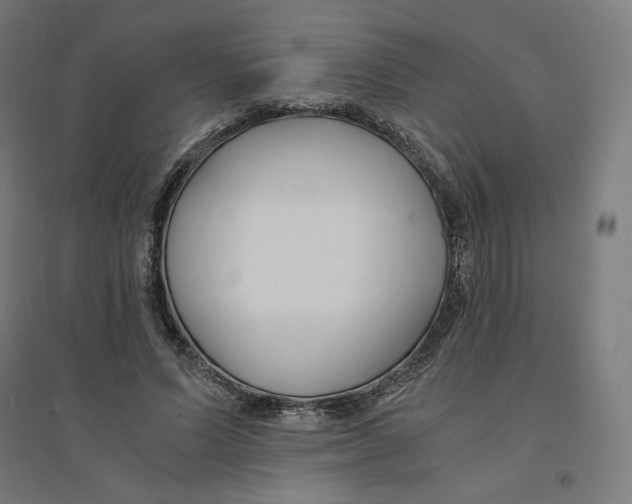 X0000094430591200712061115