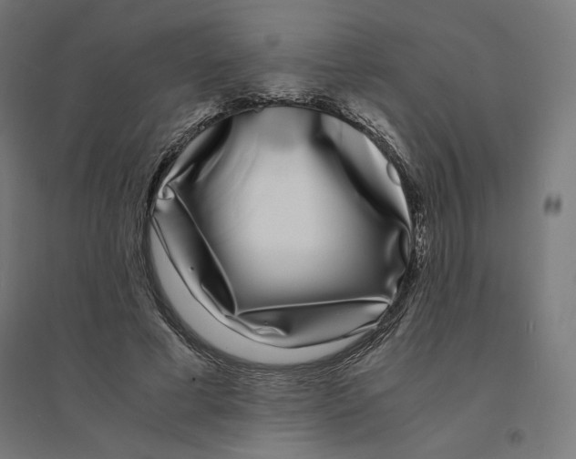 X0000094430593200712061115