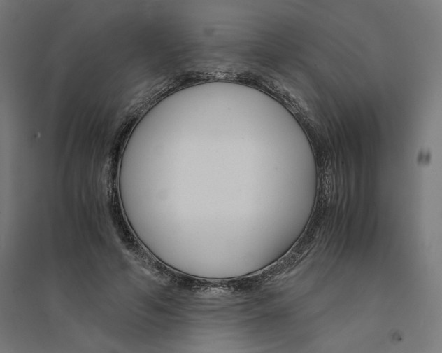 X0000094430594200712061115