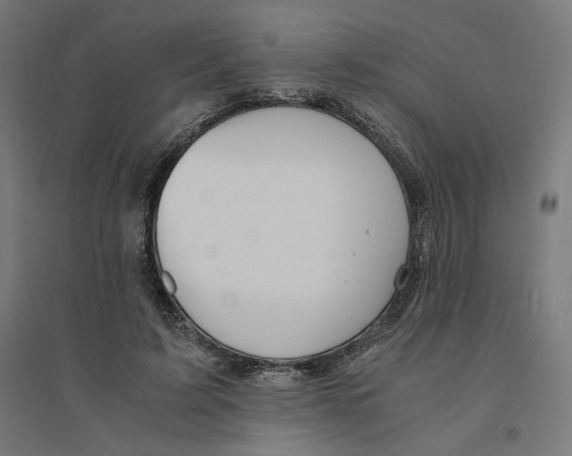 X0000094430595200712061115