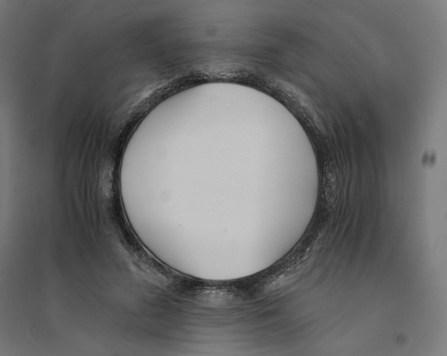 X0000094430596200712061115