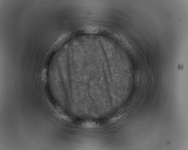 X0000094430598200712061115