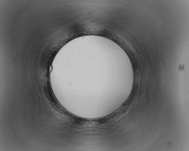 X0000094430599200712061115