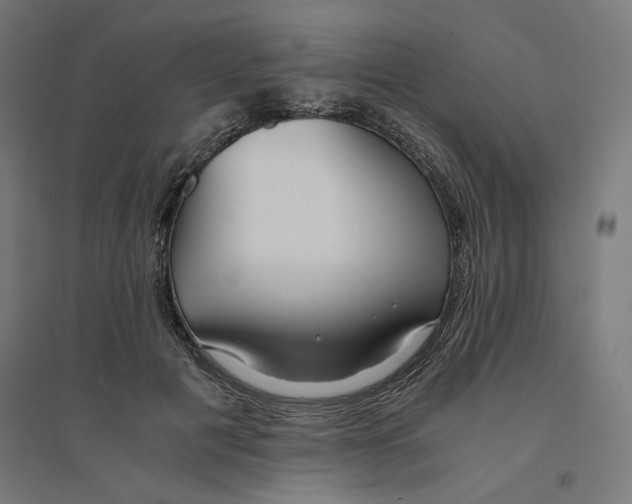 X0000094430601200712061115