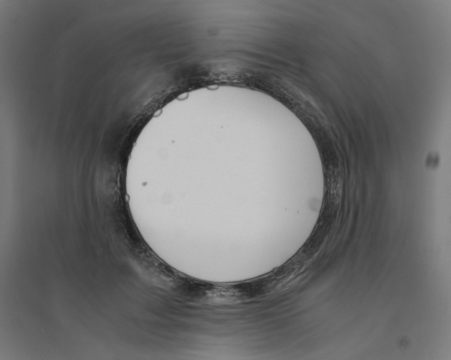 X0000094430603200712061115