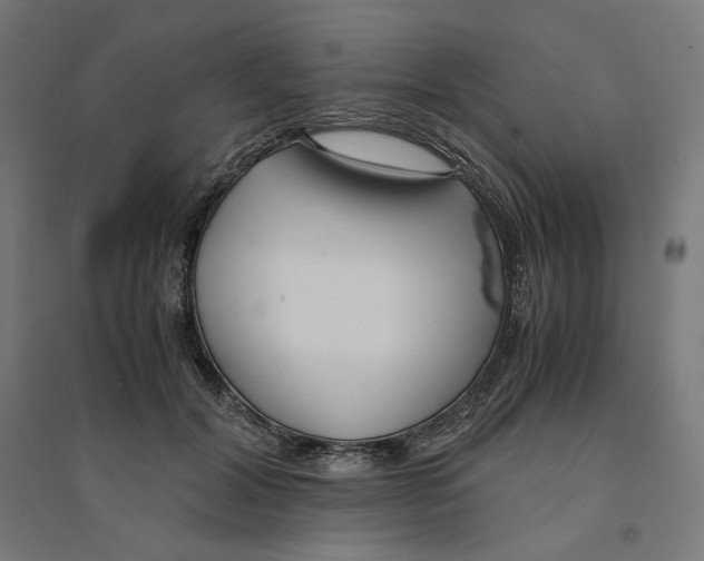 X0000094430604200712061115