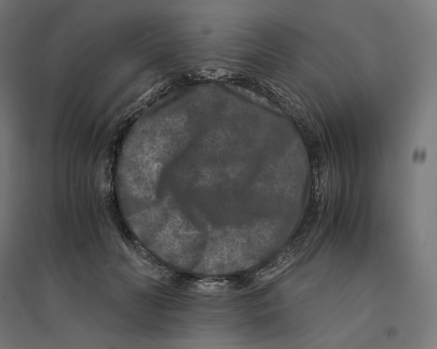 X0000094430606200712061115