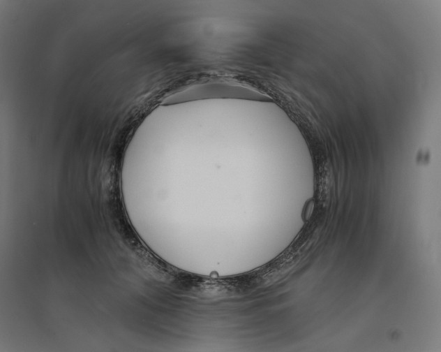 X0000094430608200712061115