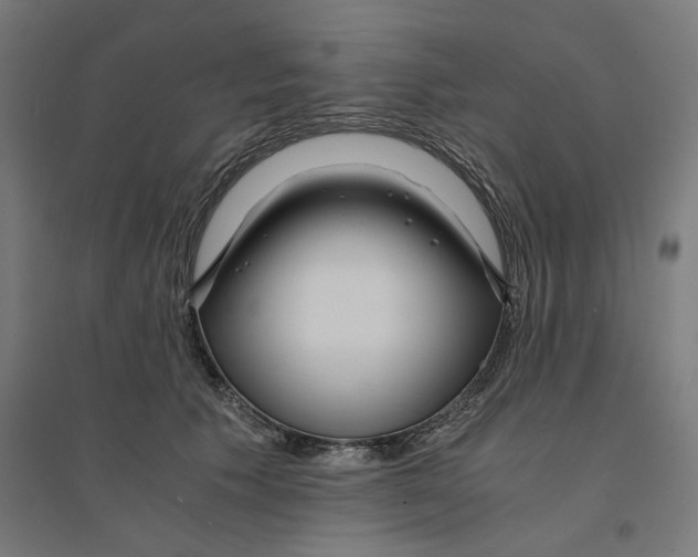 X0000094430609200712061115