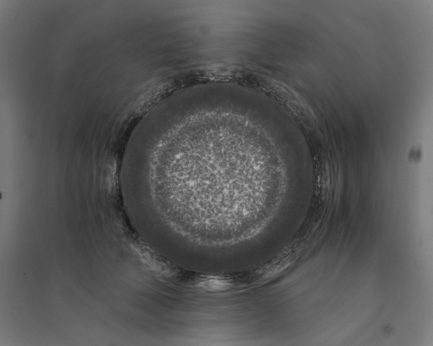 X0000094430610200712061115