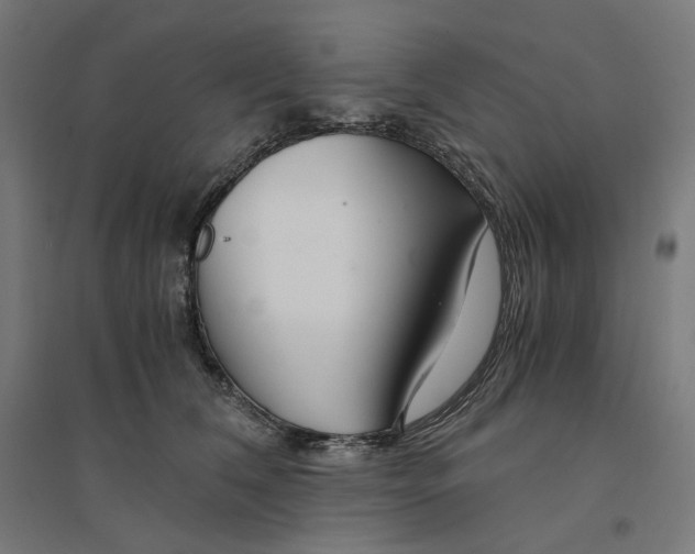 X0000094430612200712061115