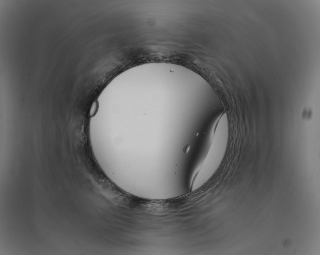 X0000094430615200712061115