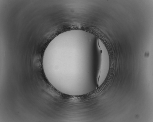 X0000094430616200712061115