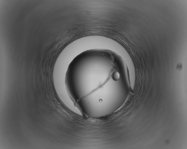 X0000094430617200712061115