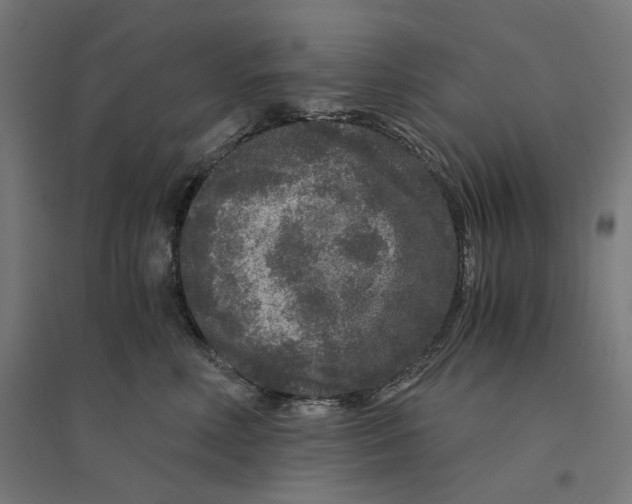 X0000094430618200712061115