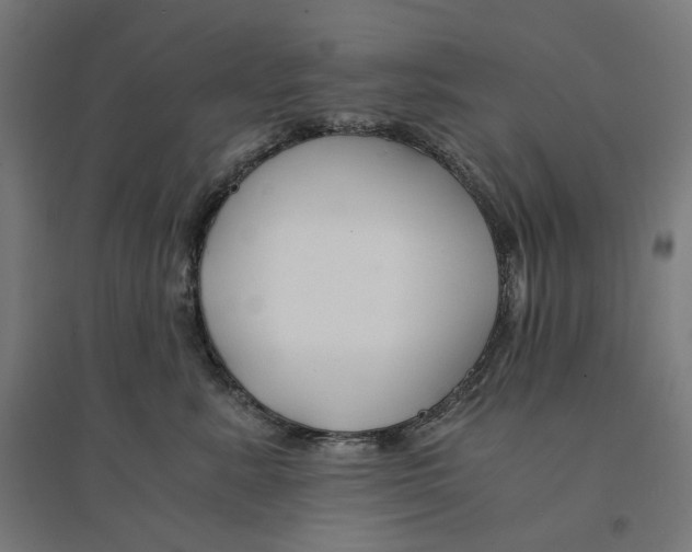 X0000094430619200712061115