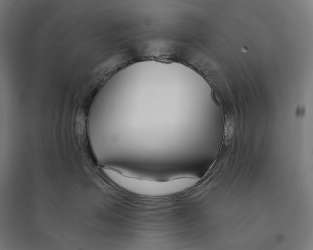 X0000094430623200712061115