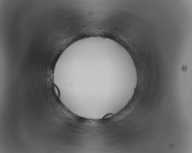 X0000094430624200712061115