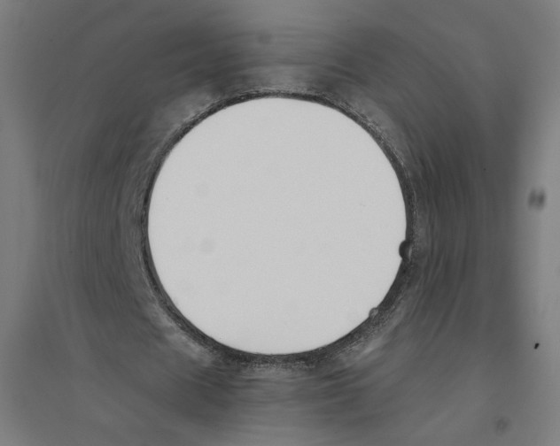 X0000094430625200712061114