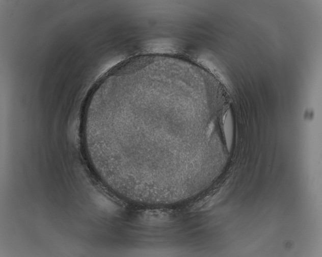 X0000094430627200712061114