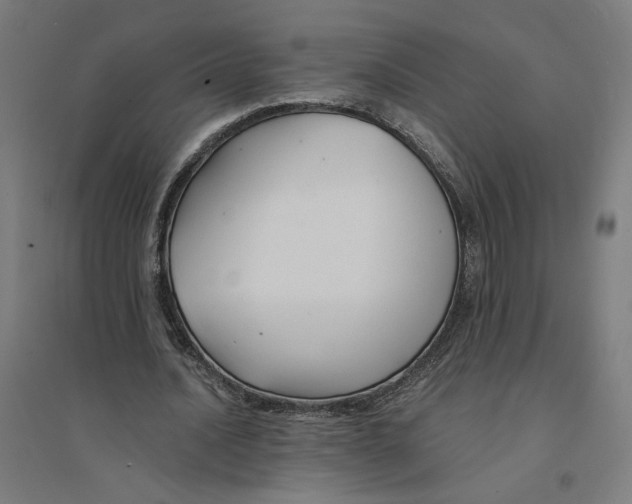 X0000094430628200712061114