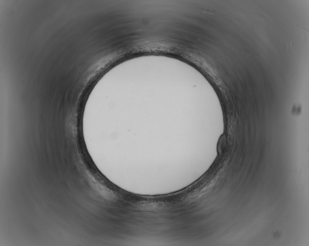 X0000094430629200712061114