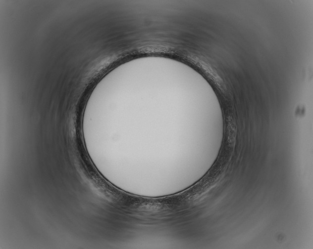 X0000094430631200712061114