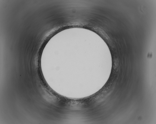 X0000094430632200712061114