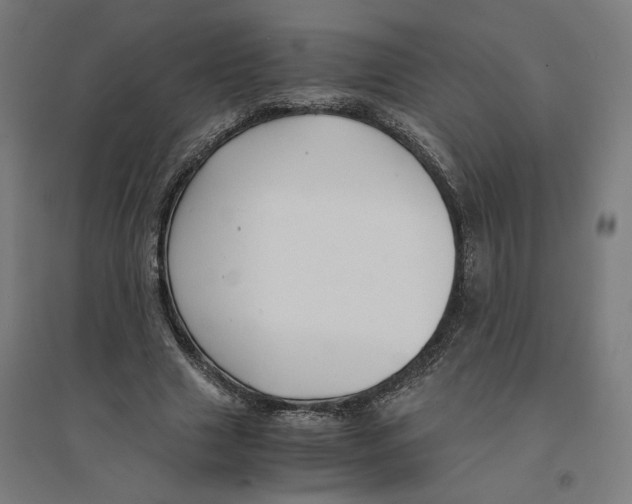 X0000094430633200712061114