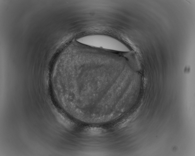 X0000094430637200712061114