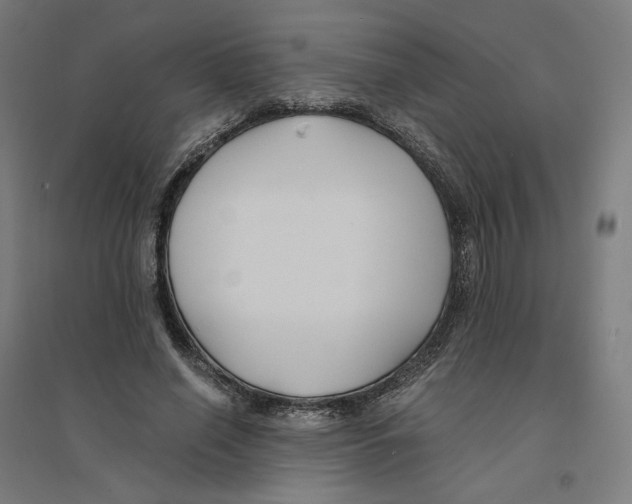 X0000094430638200712061114