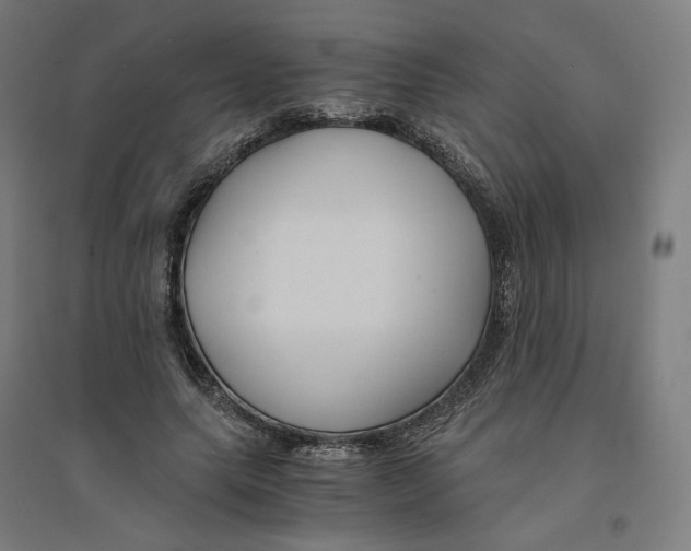 X0000094430639200712061114