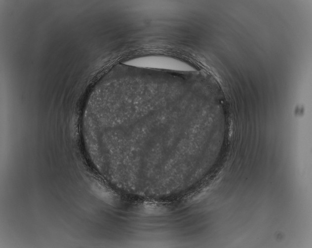 X0000094430641200712061114