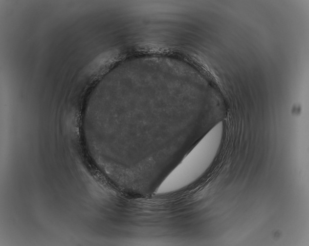 X0000094430643200712061115