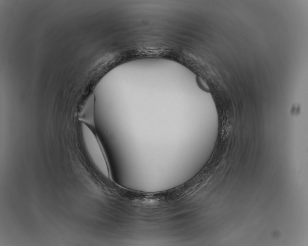 X0000094430647200712061115