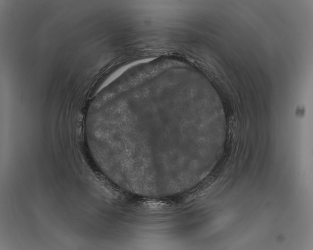 X0000094430650200712061115