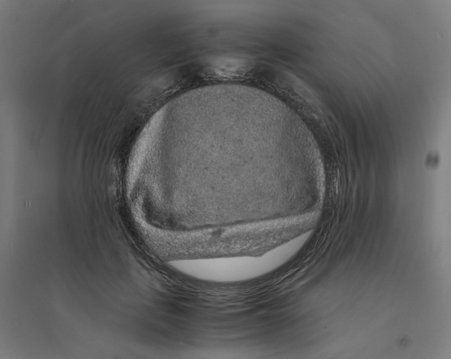 X0000094430651200712061115