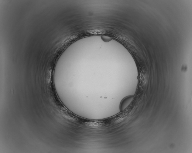 X0000094430652200712061115