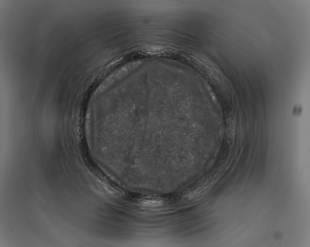 X0000094430653200712061115