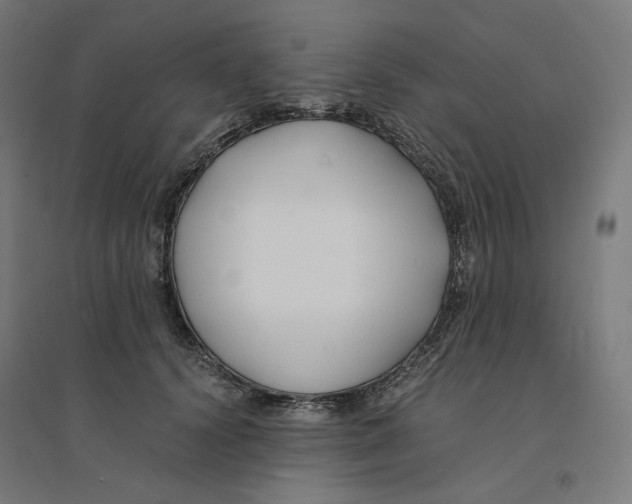 X0000094430656200712061115